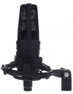 Audio Technica AT4050 2